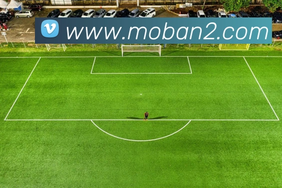 佰利乐服务体系